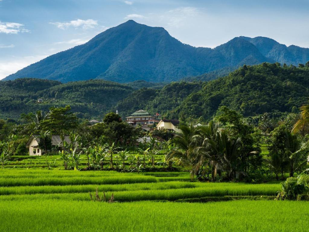 The Mirah Hotel โบกอร์ ภายนอก รูปภาพ